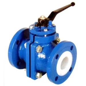 Lined Valves